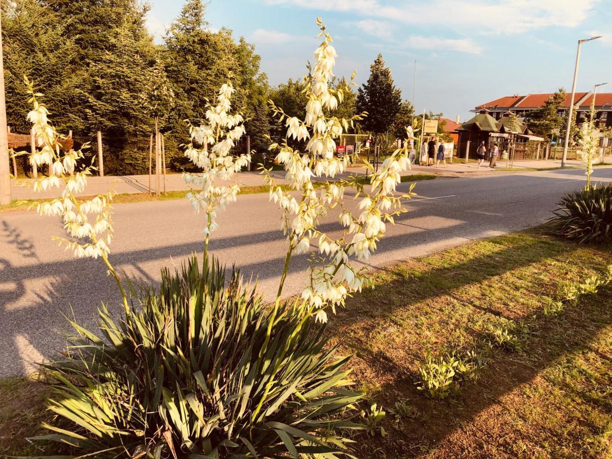 Club Thermal Village Cegléd מראה חיצוני תמונה